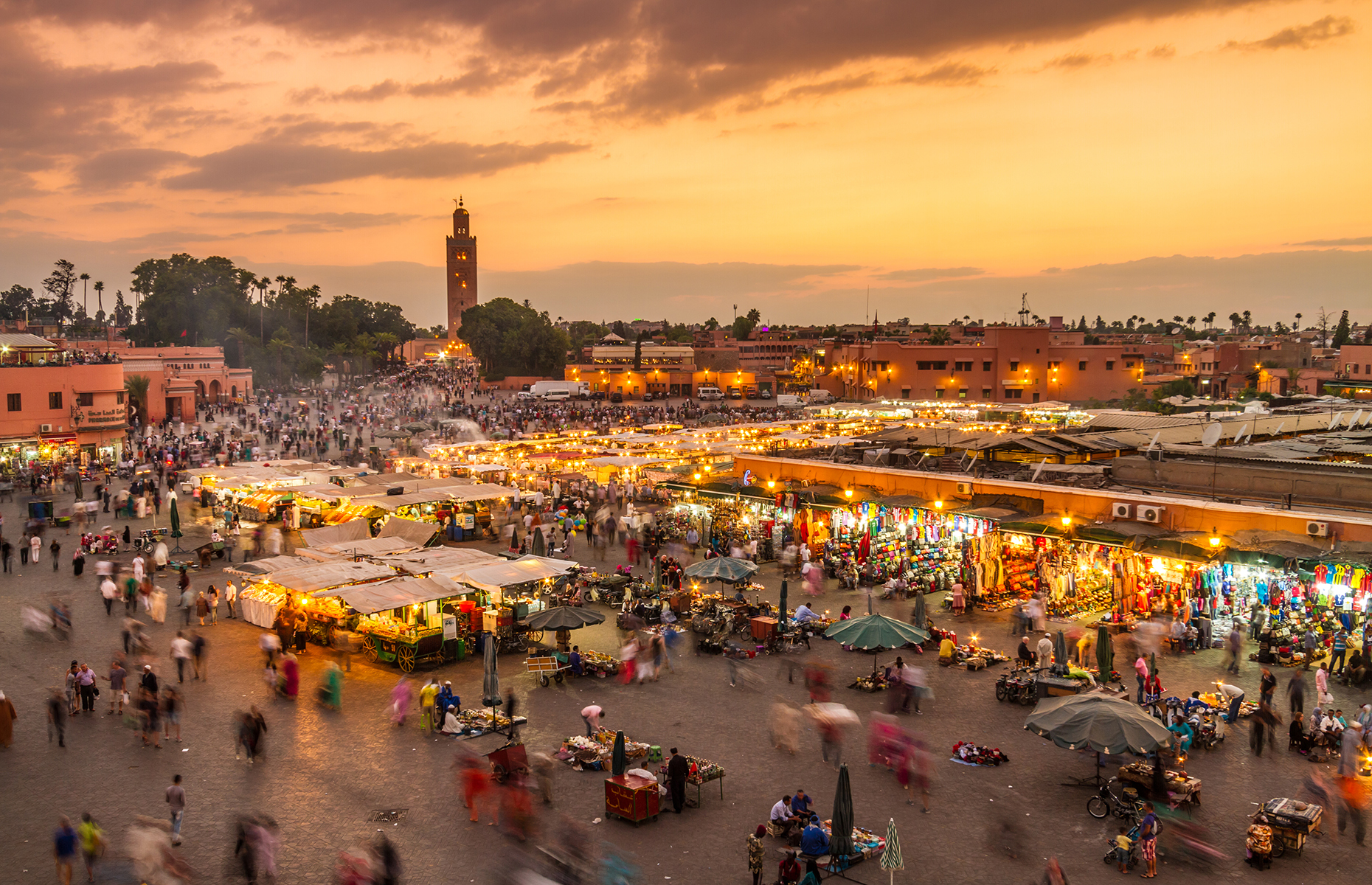 Best Things to Do in Marrakech