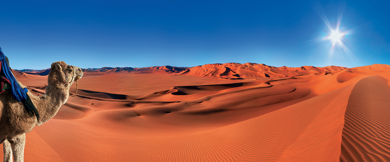 Stargazing in the Sahara