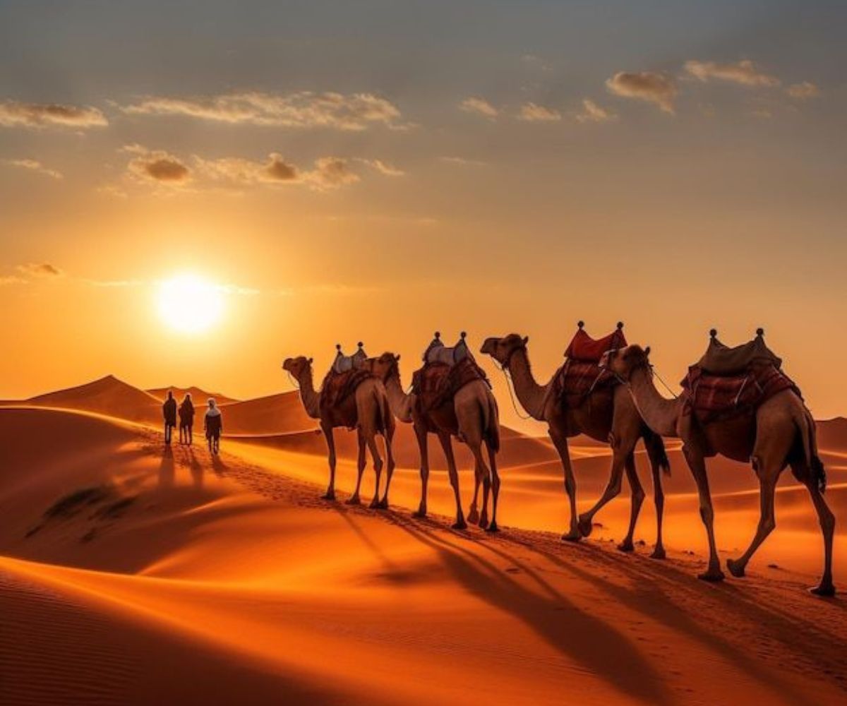 3 days tour from Fes to Marrakech